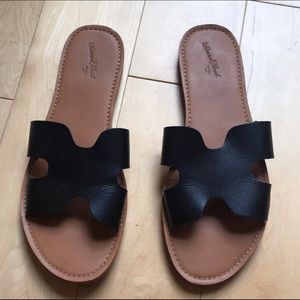 Jenny Slides - Universal Thread